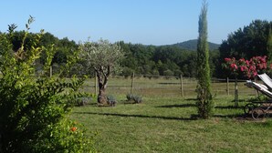 Paisaje rural con un campo cercado, un árbol de flores rosadas y una silla de metal.