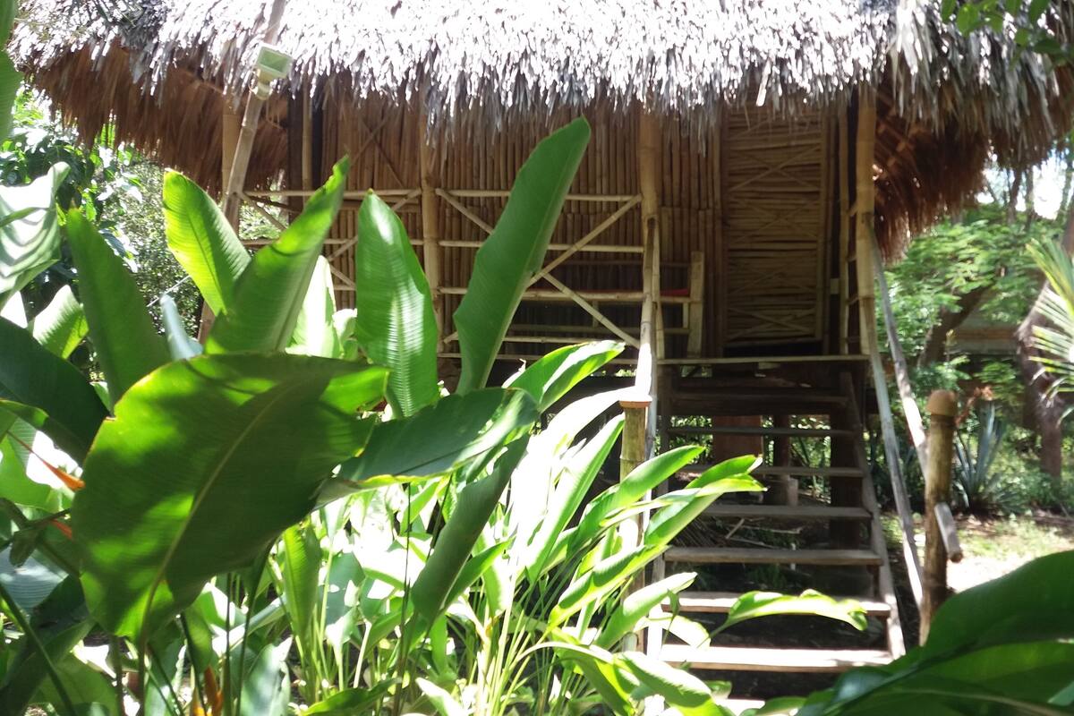 Traditional Cabin, Multiple Beds, Non Smoking, Private Bathroom | WiFi (free)