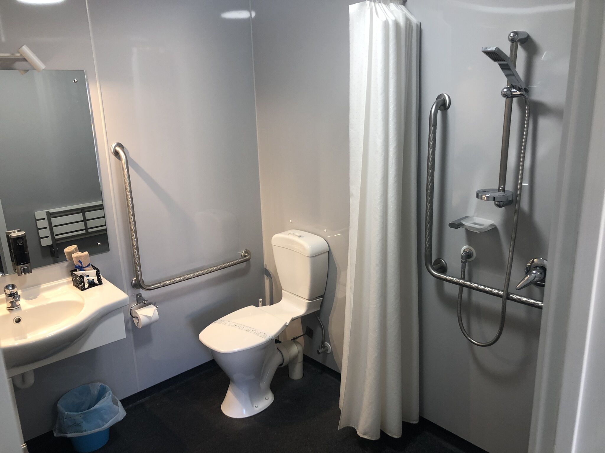 A bathroom with a white toilet, a sink, a shower with a handheld showerhead, and a grab bar.