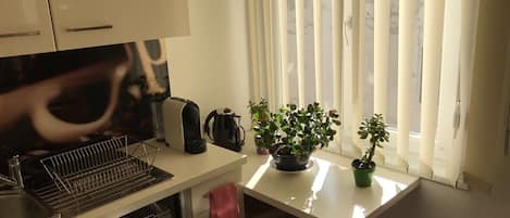 Apartment, 1 Bedroom | Private kitchen | Fridge, microwave, coffee/tea maker, electric kettle