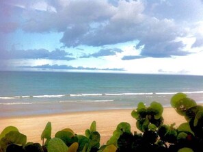 A beach with waves, a cloudy sky, and green foliage in the foreground. - Large 1br Apartment Downtown w/parking (Melbourne)