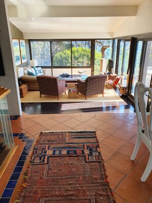 TV, fireplace, video games, DVD player