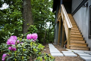 Welcome to our Montford home on the hill. 