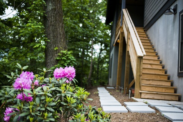 Welcome to our Montford home on the hill. 