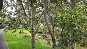 A grassy area with trees and a small stream. - Snowcreek Resort Vacation Rental 456 (Mammoth Lakes)