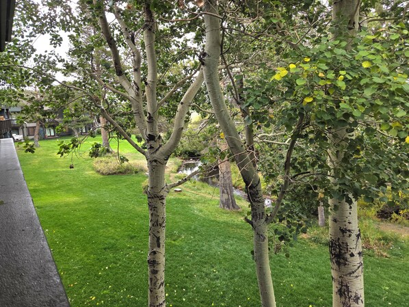 A grassy area with trees and a small stream. - Snowcreek Resort Vacation Rental 456 (Mammoth Lakes)