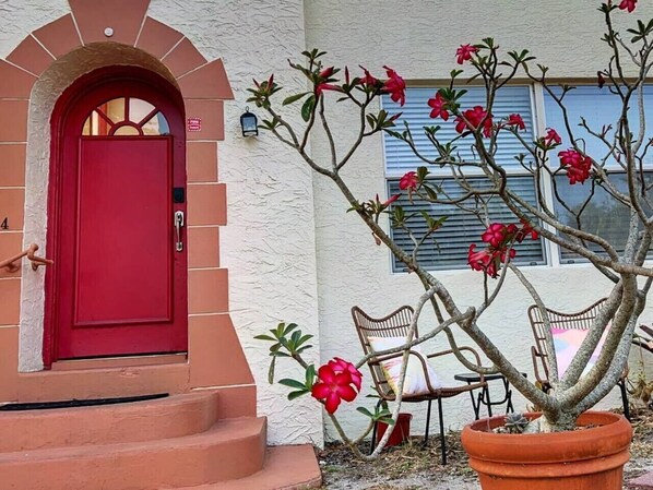 A red door, a white building, a potted plant, and a chair.