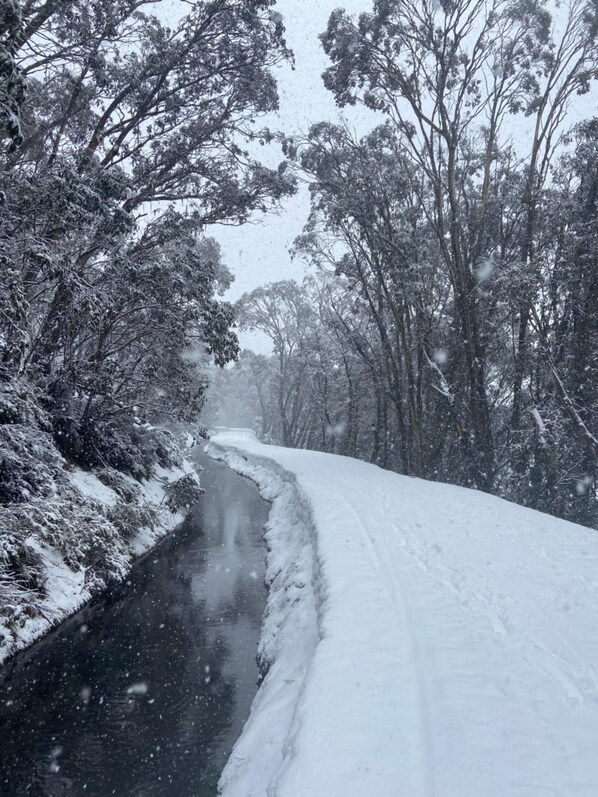 Property grounds - Feathertop Alpine Lodge (Falls Creek)