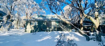 Feathertop Alpine Lodge