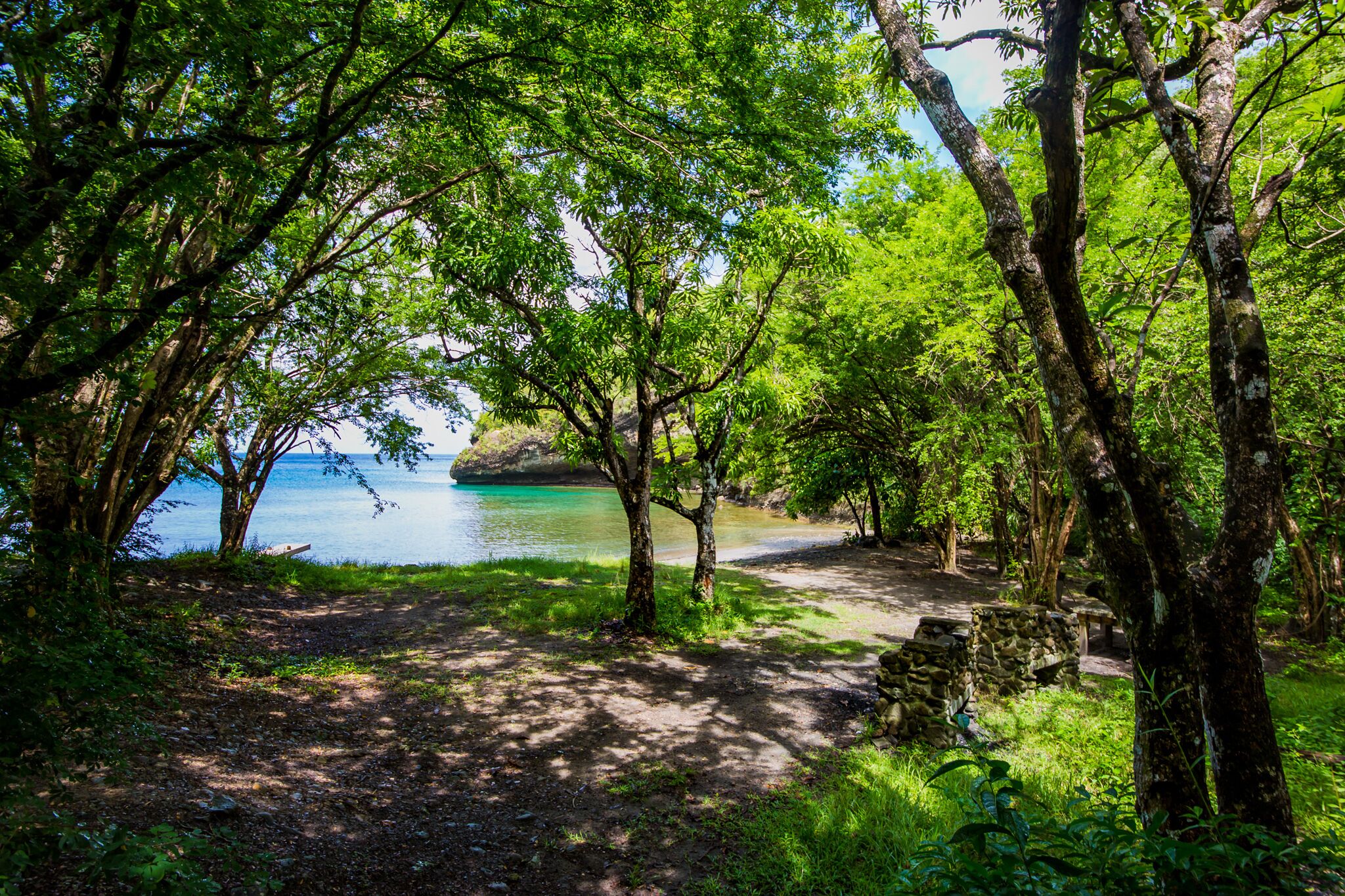 A natural setting with a dirt path leading to a body of water, surrounded by trees and greenery.