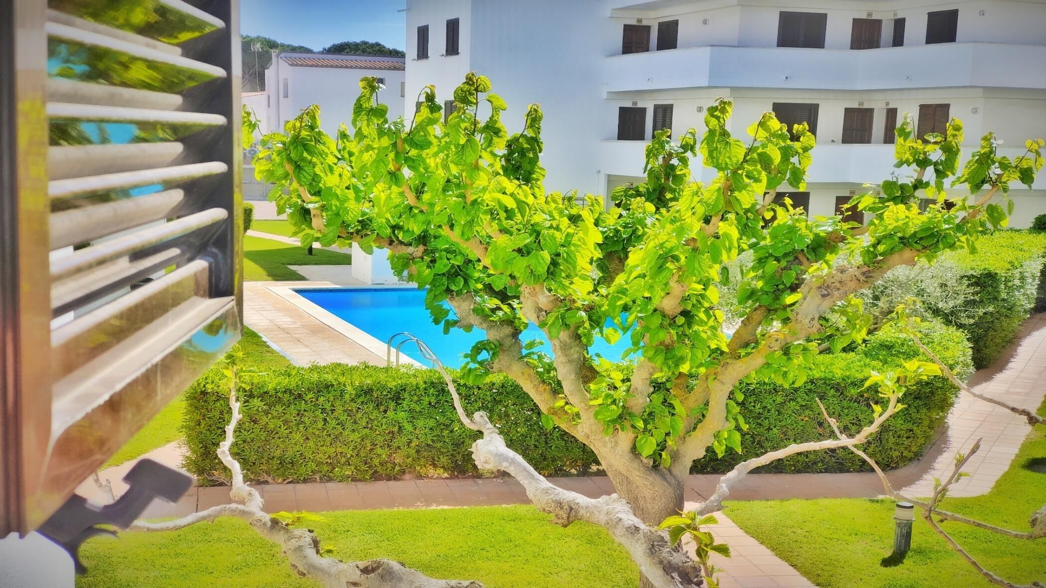 Terrein van de accommodatie