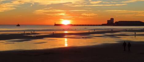 Playa en los alrededores y camastros