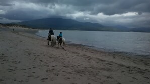 A beach with horses and riders. - House located in a private maintained estate. (Tralee)