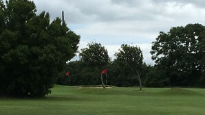 A golf course with a well-maintained green, trees, and red flags marking the holes. - House located in a private maintained estate. (Tralee)