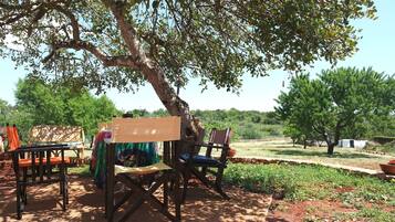 Opções para refeição ao ar livre