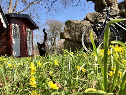 Newly renovated in a nice rural setting near the archipelago