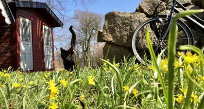 Newly renovated in a nice rural setting near the archipelago