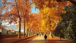 Exterior - LUXURY NEW APARTMENT- PARKING AND GARDEN PRIVATE-VERY CLOSE WALLS OF LUCCA-WIFI (Lucca)
