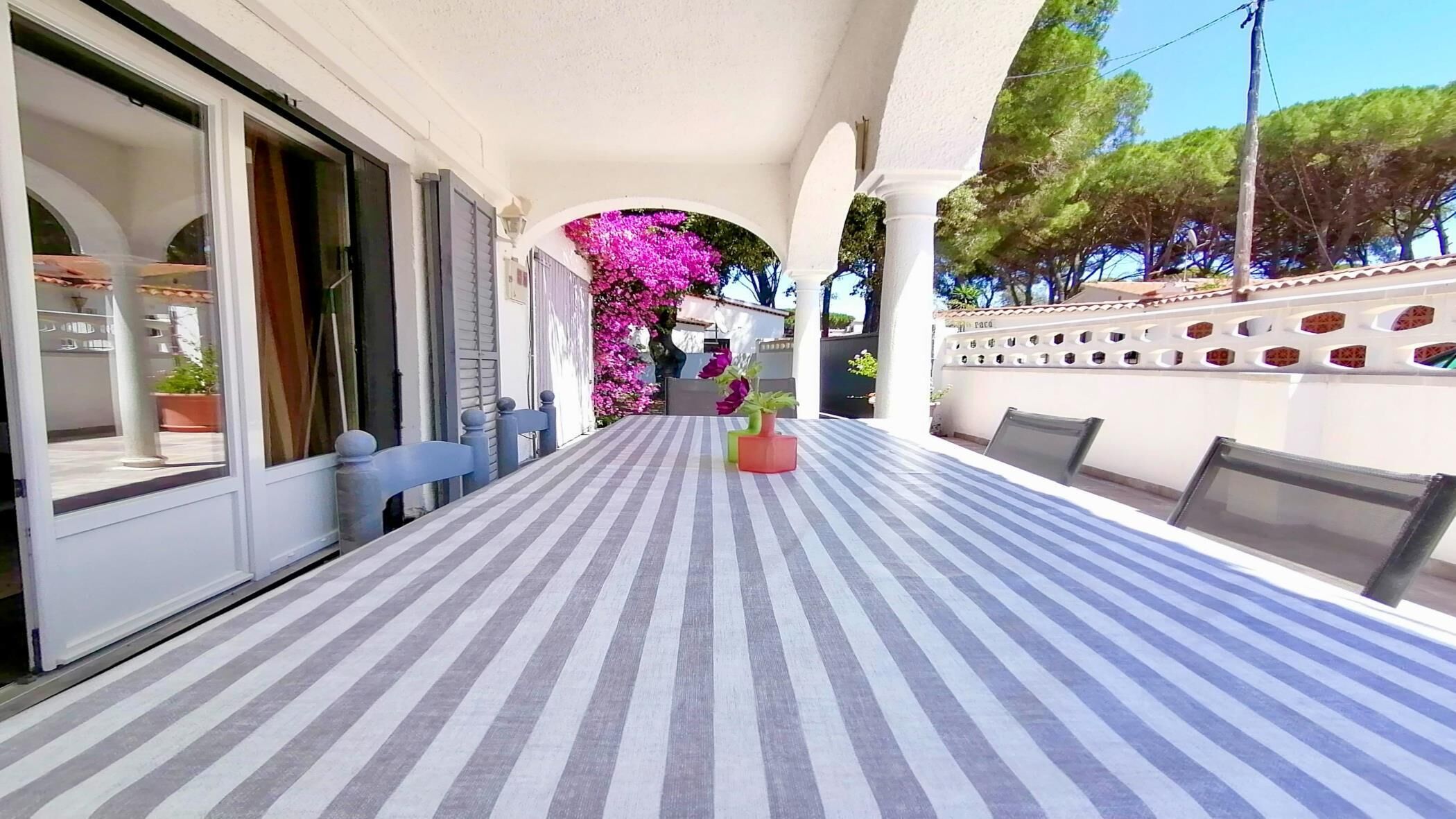 テラス / パティオ