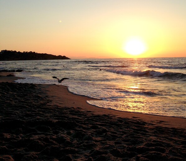 Una spiaggia nelle vicinanze