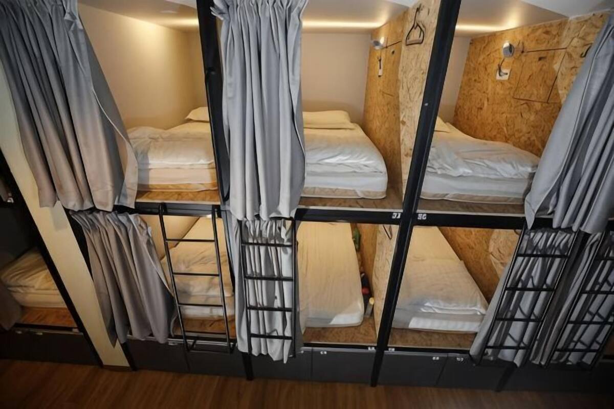 A bunk bed room with curtains, wooden walls, and a ladder.