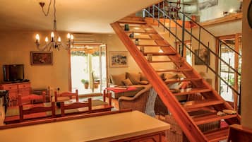 Televisio, takka, DVD-soitin, kirjoja