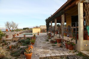 A rooftop garden with potted plants, a stone pathway, and a wooden pergola.