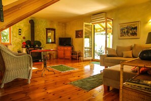 TV, fireplace, DVD player, books