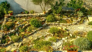 Een tuin met verschillende planten en een stenen muur.