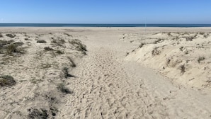A wide sandy beach with dunes and a clear blue sky. - Villa in Torre del Lago /Viareggio a stone's throw from the lake theater near the Sea  (Torre del Lago Puccini)