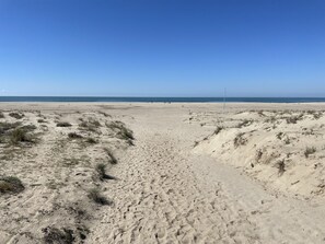 Ubicación a pie de playa y toallas de playa