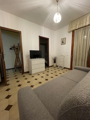 Smart-TV, Kamin, DVD-Player, Bücher