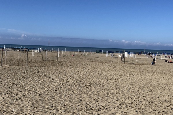 En la playa, toallas de playa