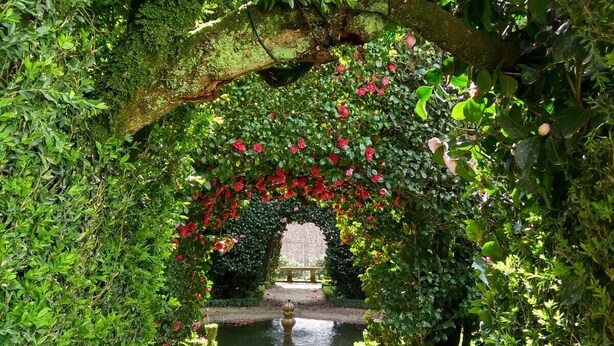 A garden pathway leading to a fountain, surrounded by lush greenery and flowering plants.