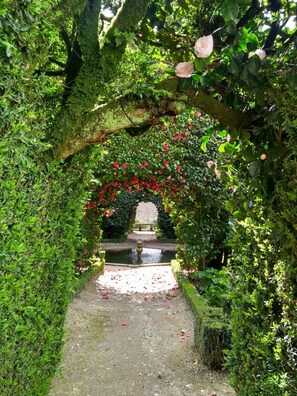 Un sendero en un jardín que lleva a una fuente, rodeado de exuberante vegetación y plantas con flores.