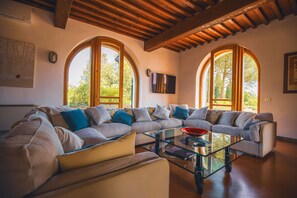 TV, fireplace, DVD player, books