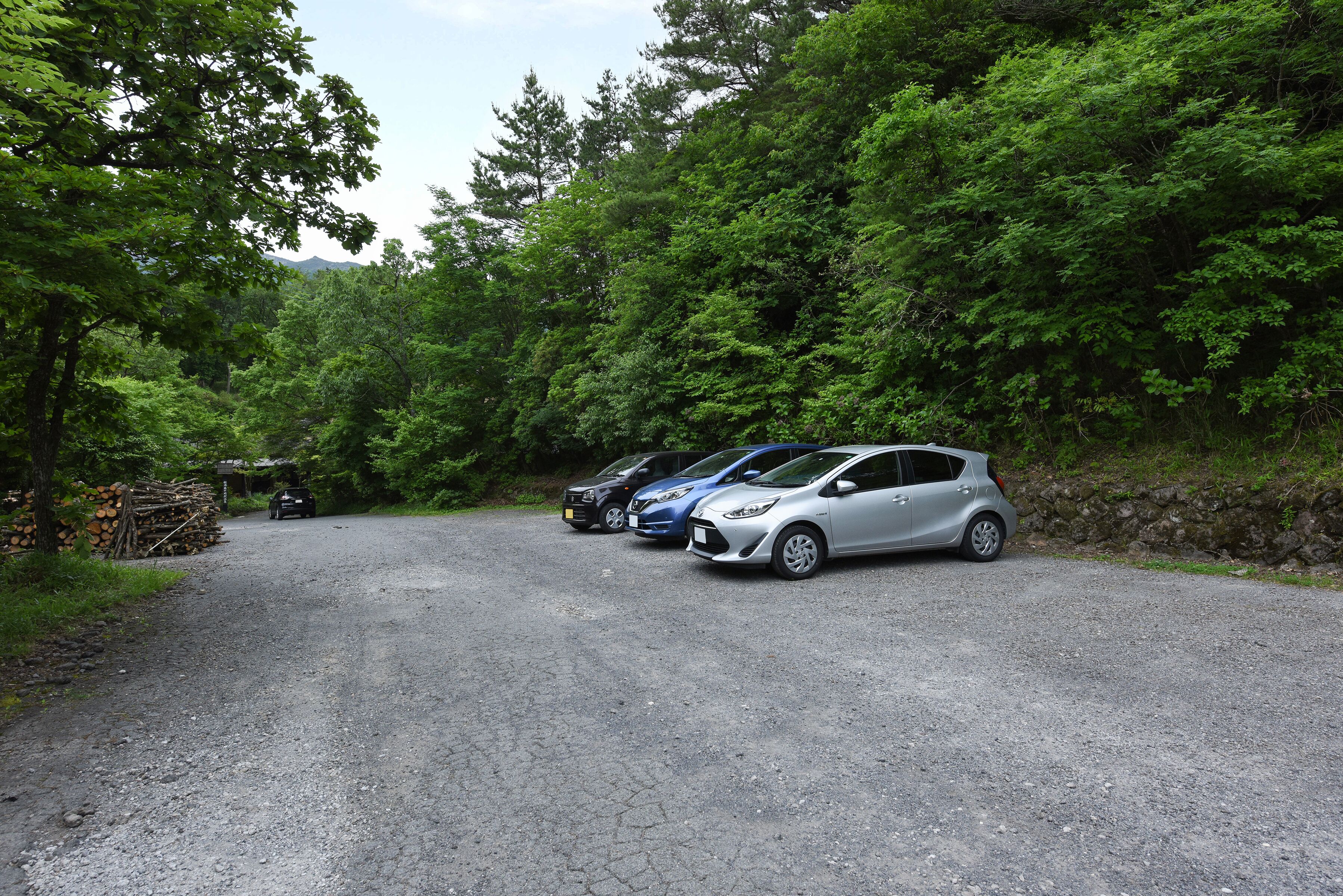 A gravel parking area with three cars parked, surrounded by dense green forest.