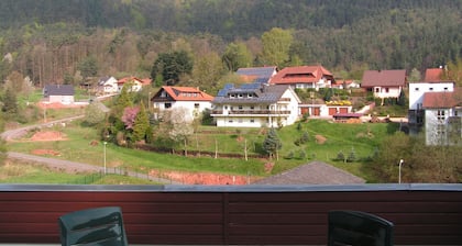 Holiday Waldblick Schwanheim on suuri terassi ja upeat näkymät