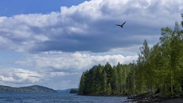 Playa en los alrededores y camastros