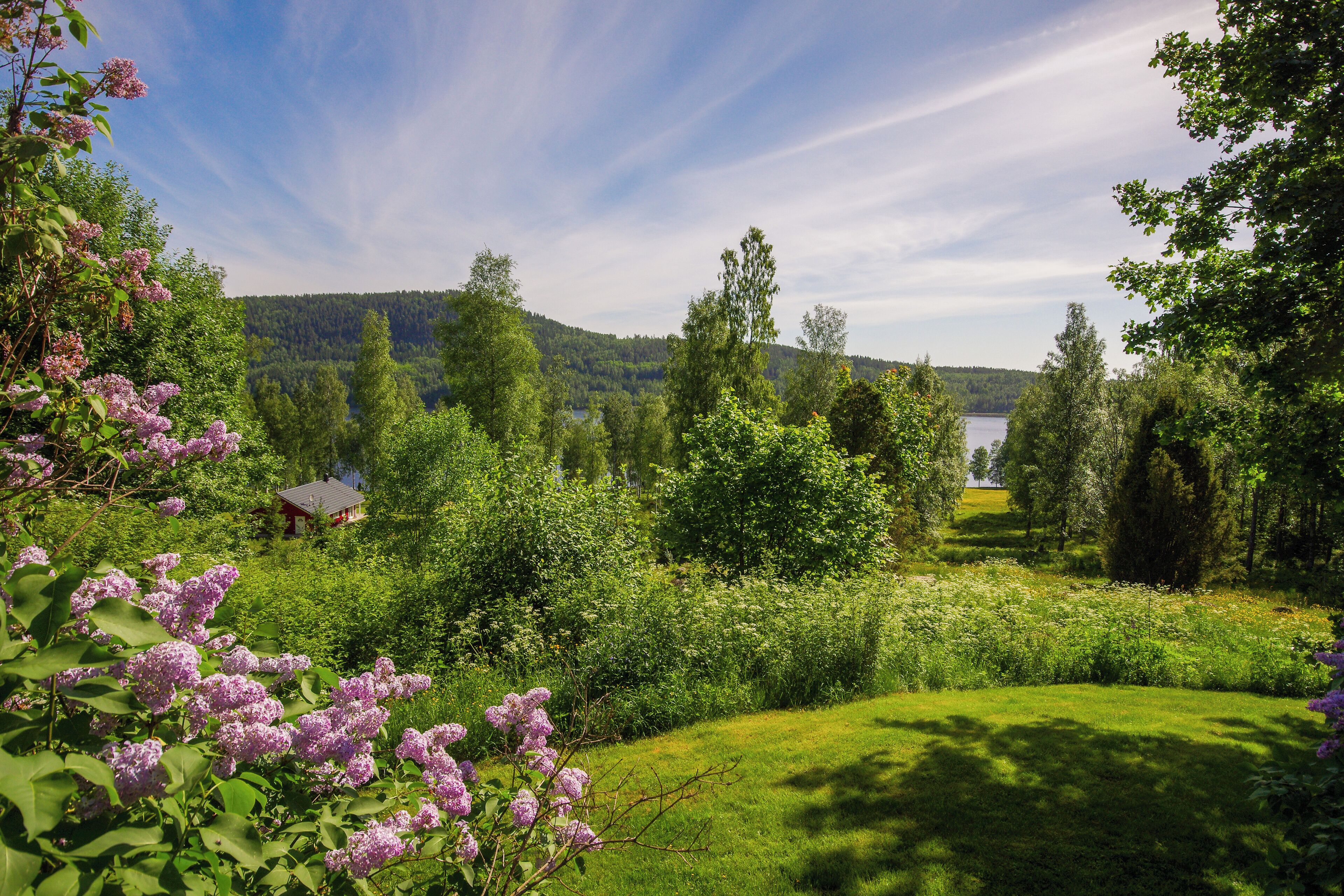A lush green landscape with a lake, trees, and a small building.