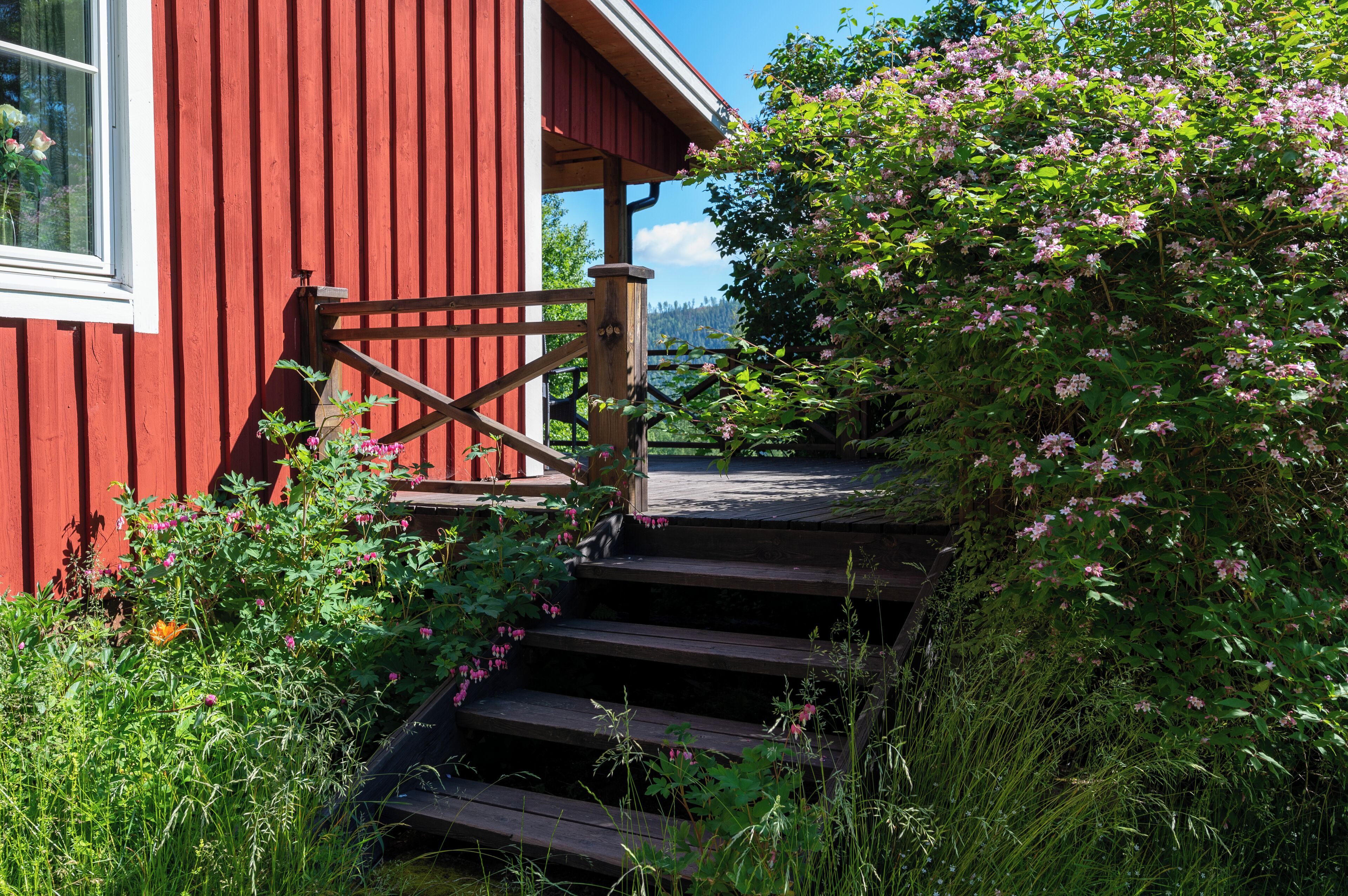 Jardines del alojamiento