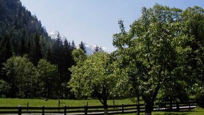 Un espacio al aire libre cercado, con árboles y una montaña al fondo.