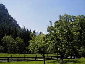 Imagen sin descripción, 2 de 11, botón