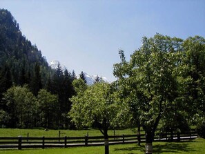 A fenced outdoor area with trees and a mountain in the background. - Vacation apartment Jirkal - Holiday apartment (Obsthurn)