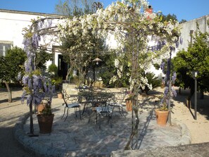 Un patio exterior con una pérgola cubierta de flores blancas, una mesa con sillas y plantas en macetas.
