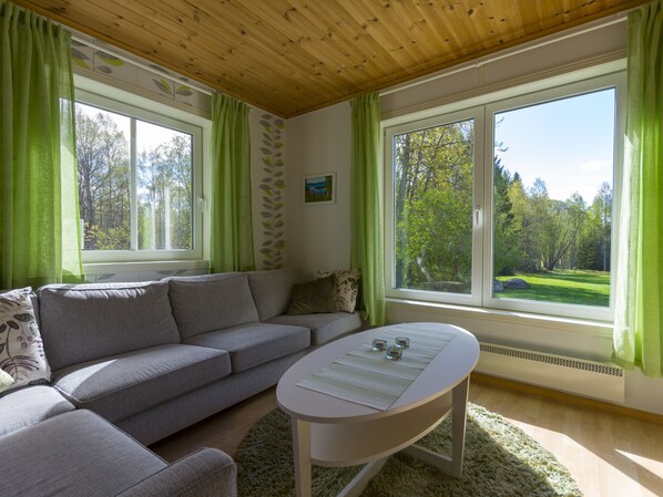 Smart TV, fireplace, table football, books