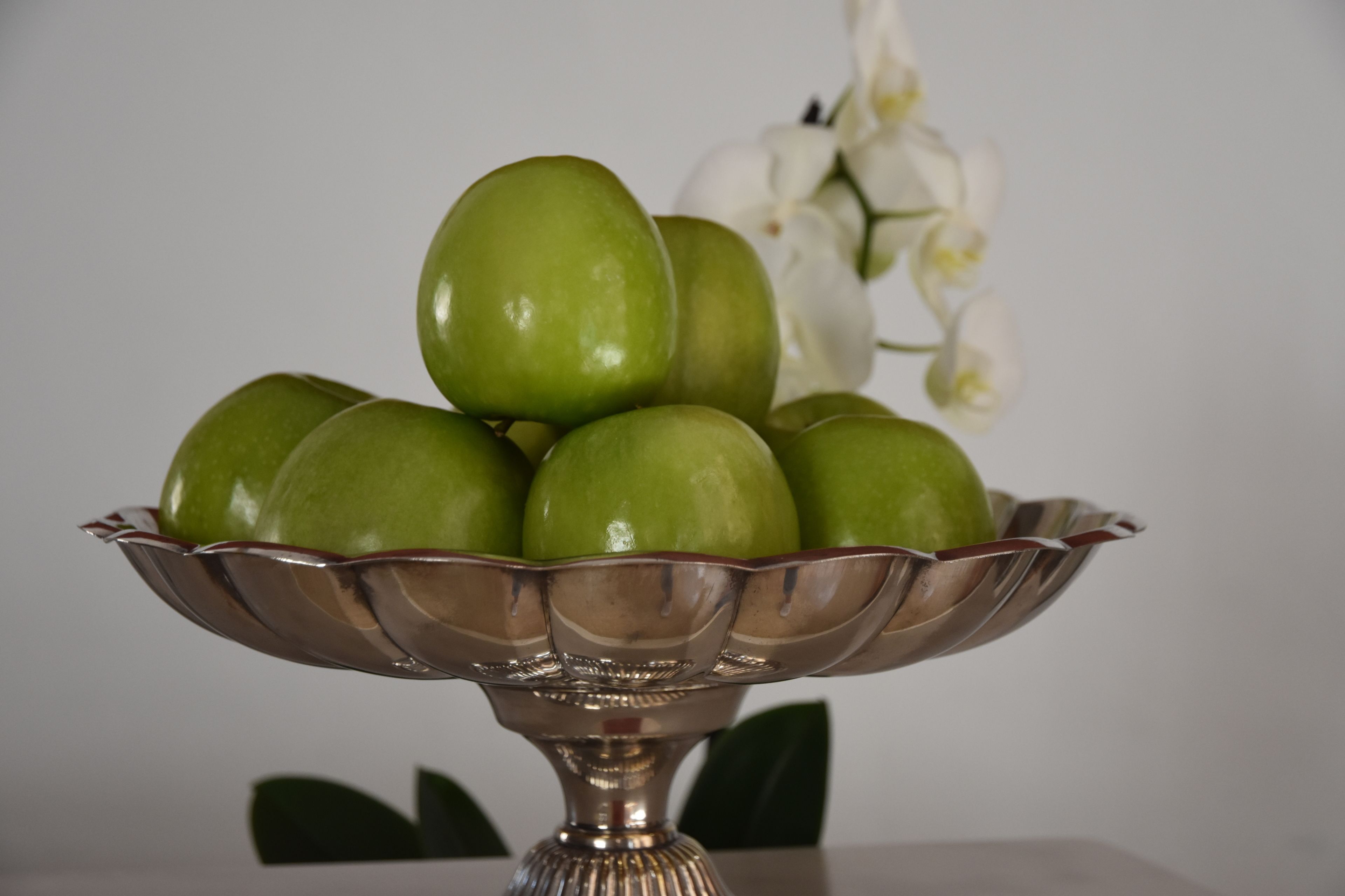 Foto - Ecocirer Healthy Stay