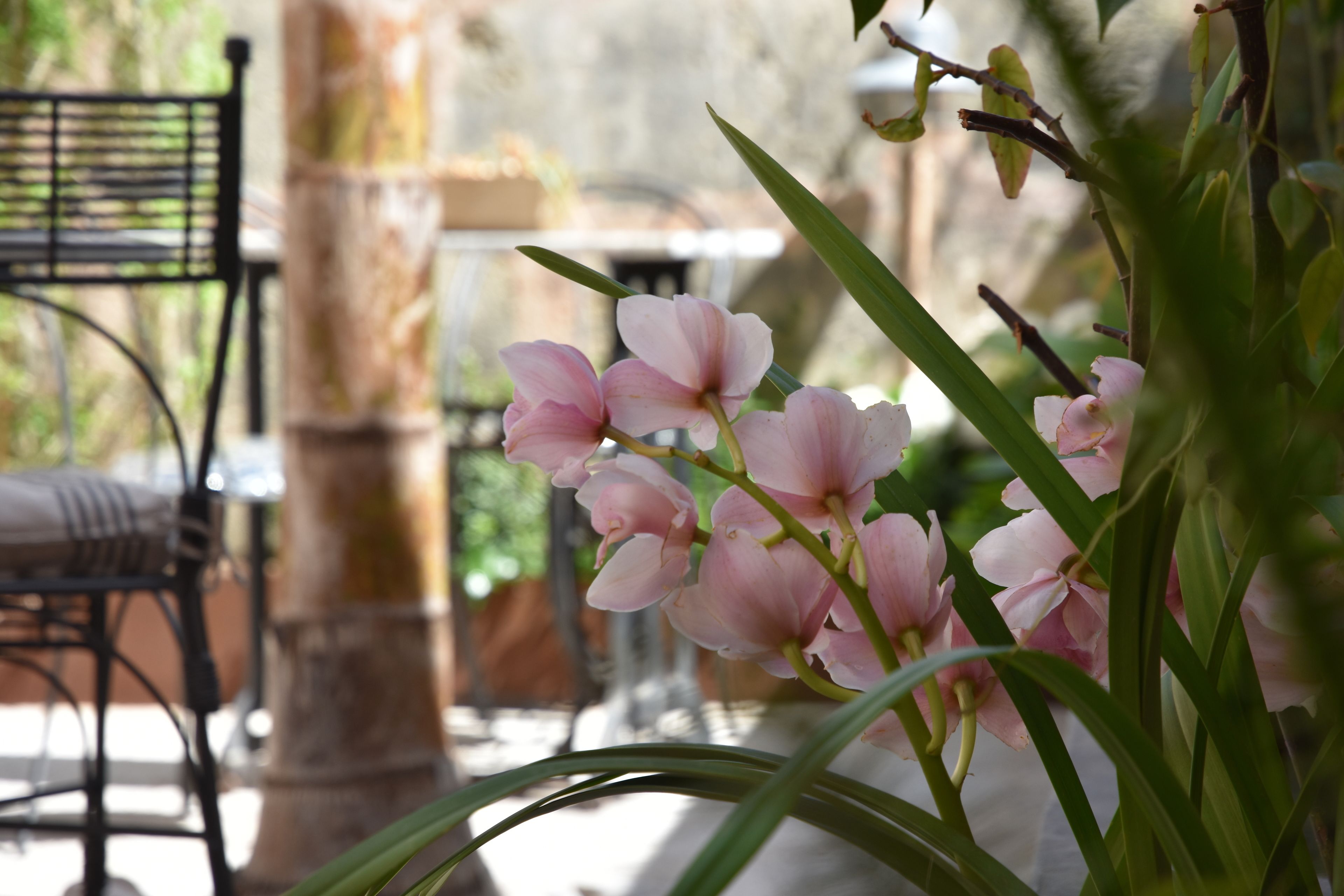 Foto - Ecocirer Healthy Stay