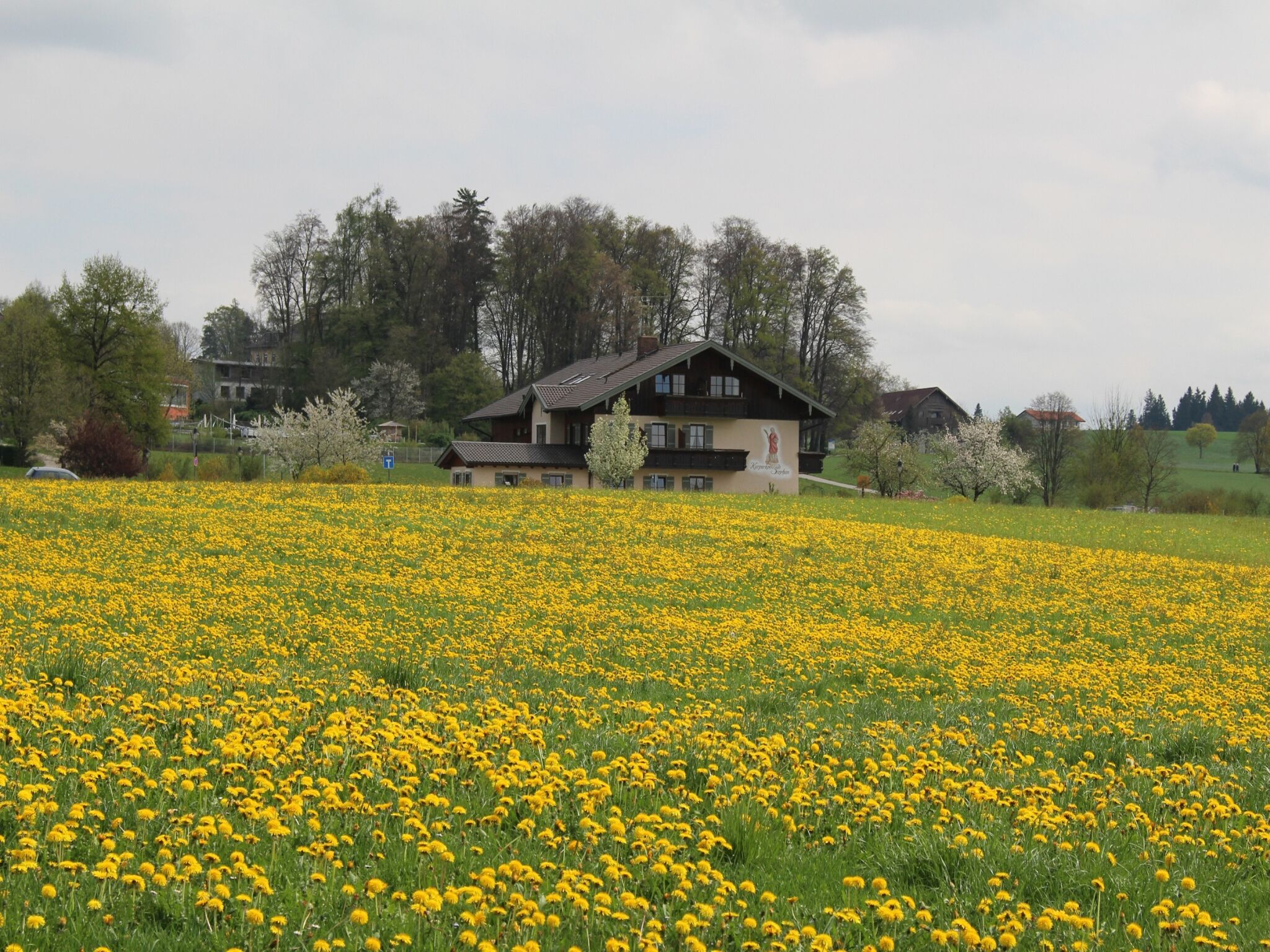 A house with a sloped roof and a balcony, surrounded by a field of yellow flowers.