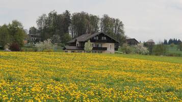 A house with a sloped roof and a balcony, surrounded by a field of yellow flowers.